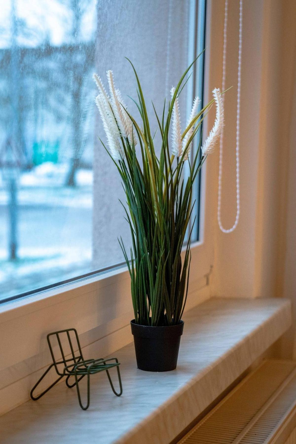 גרייפסוואלד Central, Cozy, Bright Design 3 Room Apt מראה חיצוני תמונה